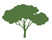 TreeShapeIcon