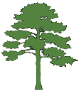 TreeShapeIcon