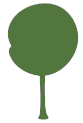 TreeShapeIcon