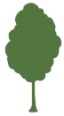 TreeShapeIcon